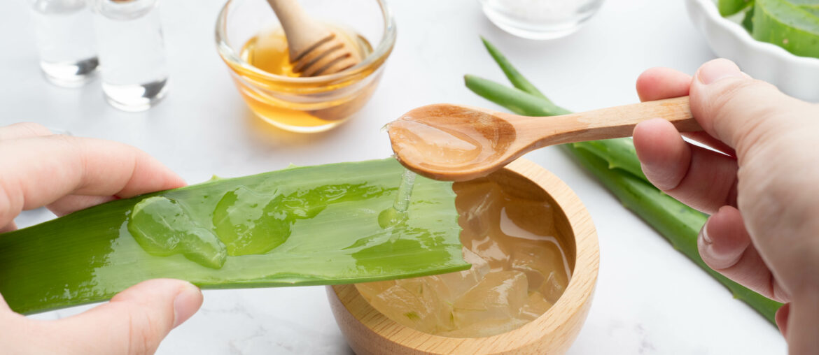 Natural homemade aloe vera gel face and body scrub for skin problems. DIY Recipe for sunburn, acne and dry skin. Hands of woman preparing aloe vera gel with honey, sea salt and essential oil.