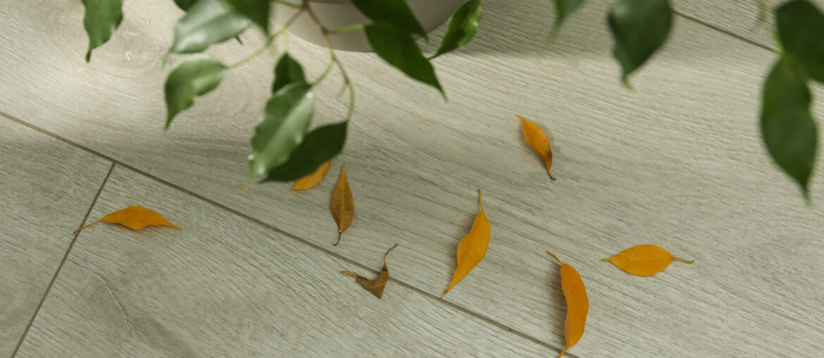 Fallen yellow leaves on floor near houseplant indoors, above view