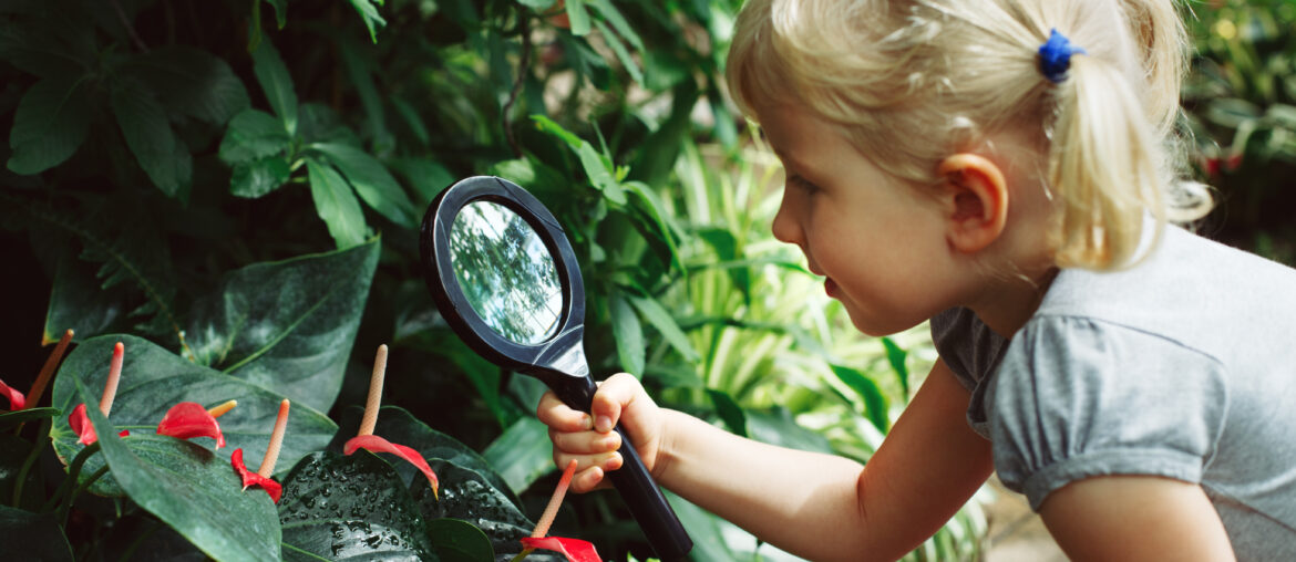 Portrait of cute adorable white Caucasian girl looking at plants flowers anthurium through magnifying glass. Child with loupe studying learning nature in garden. Early development education concept.