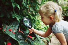 Portrait of cute adorable white Caucasian girl looking at plants flowers anthurium through magnifying glass. Child with loupe studying learning nature in garden. Early development education concept.