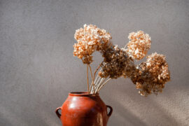 Closeup branch dried hydrangea flowers in a jug or clay vase on the background of stone texture with shadows. Autumn season background concept. Copy space. Space for text