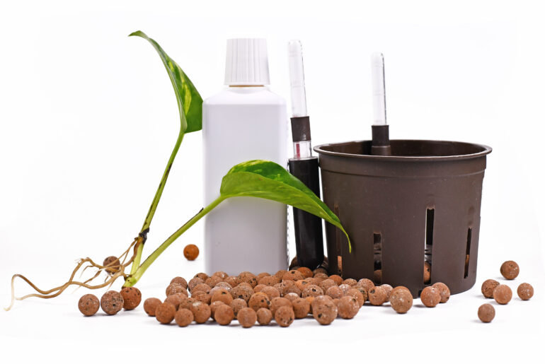 Tools for keeping houseplants in passive hydroponics system without soil with water level indicators, expanded clay pellets, rooted plant cutting, fertiliter and flower pot on white background