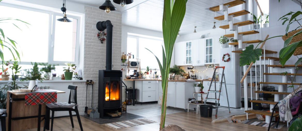 Coconut palm in a pot at home in interior. Green house, care and cultivation of tropical plants