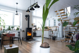 Coconut palm in a pot at home in interior. Green house, care and cultivation of tropical plants