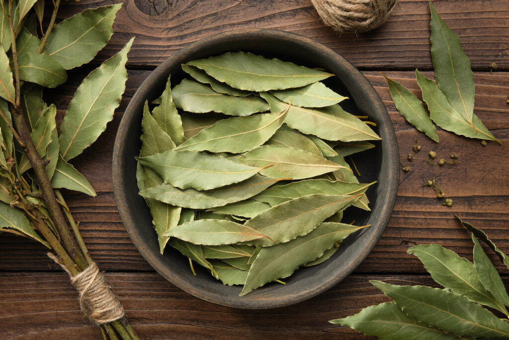 Bowl of dried laurel leaves. Branch of green bay leaves, top view.