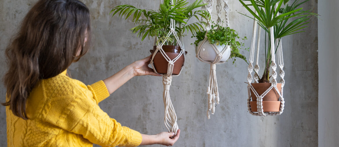 Woman gardener holding macrame plant hanger with houseplant over grey wall. Hobby, love of plants, home decoration concept.