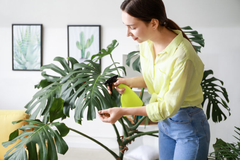 Young woman spraying water on houseplant at home