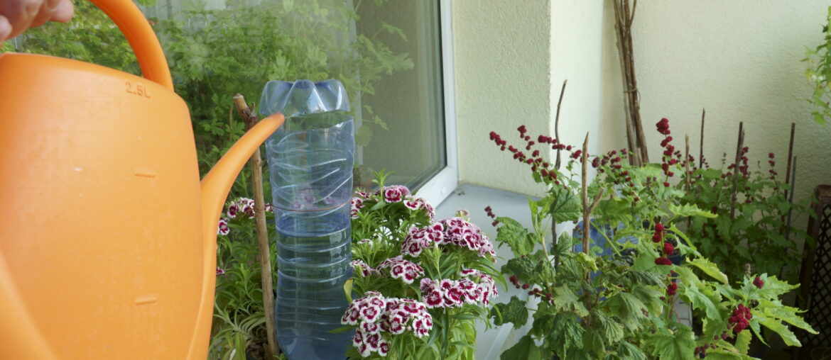 A plant watering system on a balcony using a plastic PET bottle. A smart method to supply potted flowering houseplants with water. The gardening. Garden on a loggia. A watering can in human hands.