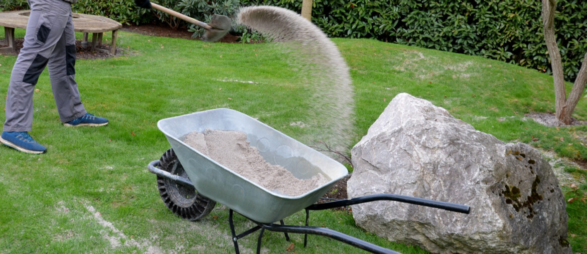 after pruning a bunch of lawn, gardeners apply silica white sand. for better structure and airiness against grass mold. load on a wheelbarrow from the body of a truck