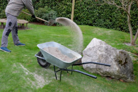 after pruning a bunch of lawn, gardeners apply silica white sand. for better structure and airiness against grass mold. load on a wheelbarrow from the body of a truck