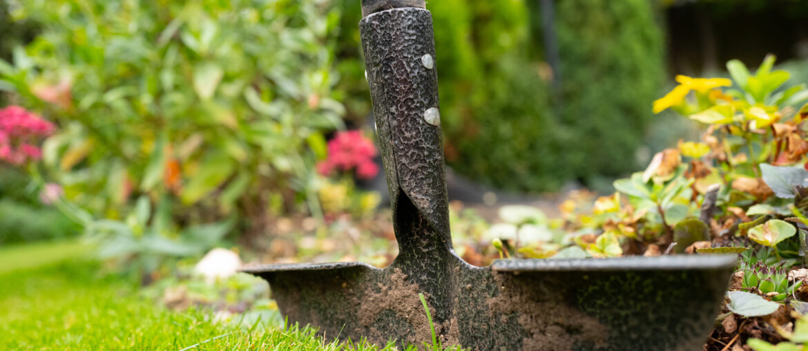 Shallow focus of a steel lawn edger seen being used at the edge of a well maintained lawn and flowerbed area.