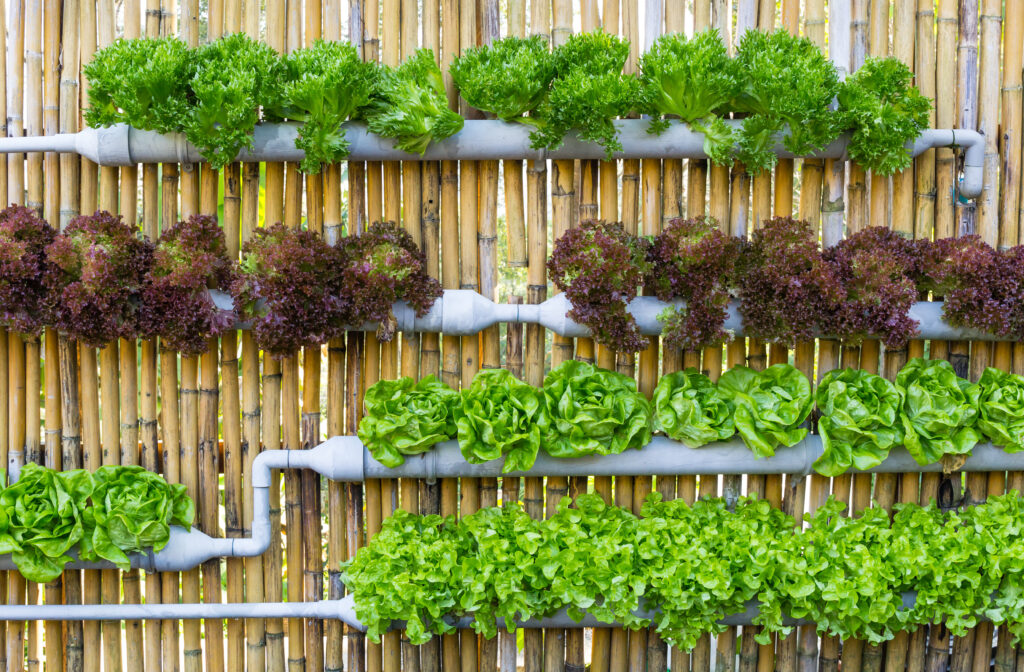 Hydroponic Vertical Gardening