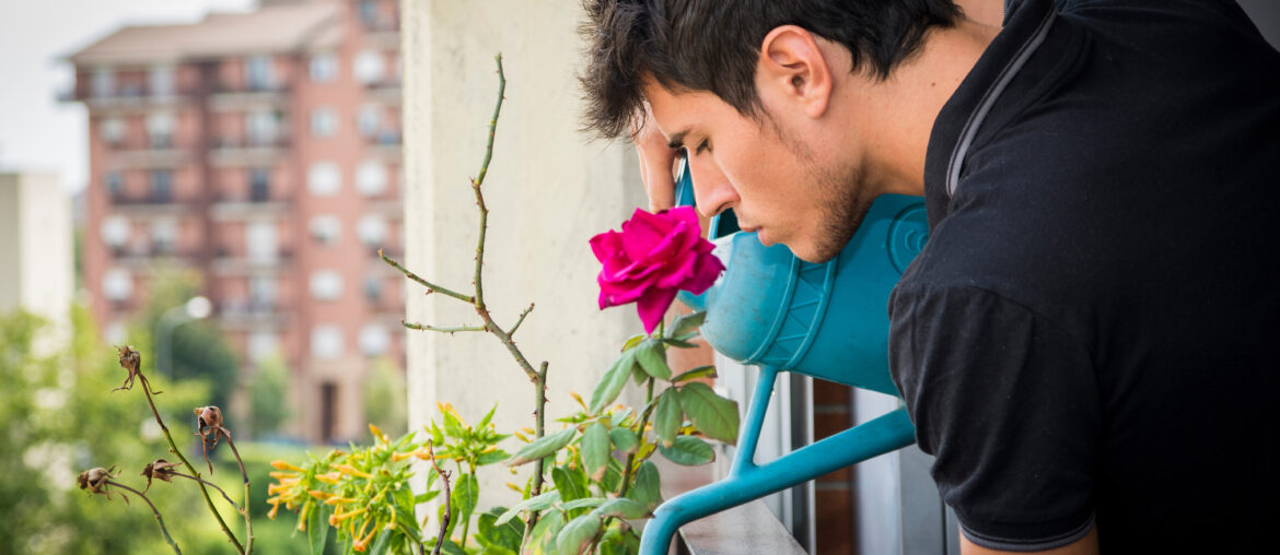 Young Man Watering Plants on Apartment Balcony