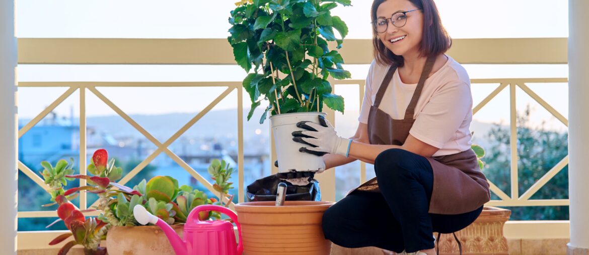 Woman planting caring for a house plant in a pot, on the terrace