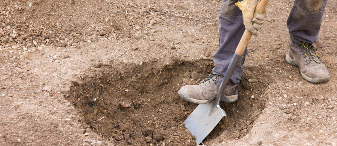 Digging a hole ready to plant a tree, UK garden