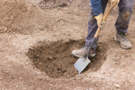 Digging a hole ready to plant a tree, UK garden