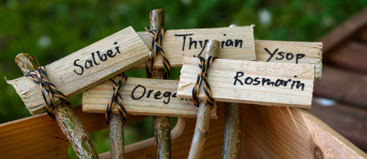 creative wooden plant markers, labeled with german names for sage, oregano, thyme, rosemary and ysop for the rural herb garden