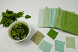 Dyeing a sample of cotton fabric in sorrel leaves broth, DIY. Bowl of    decoction of sorrel leaves, and fresh sorrel leaves are on the samples of cotton fabric in gradient green color, background.