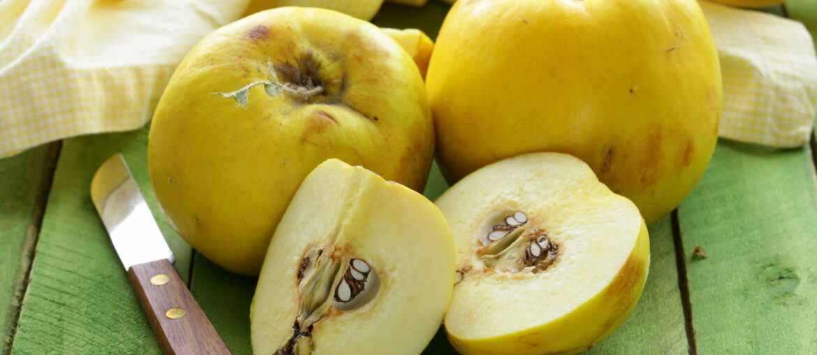 ripe yellow quince on a wooden table