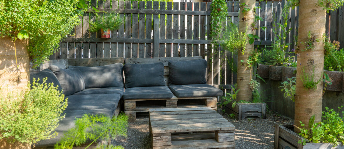 sitting area and plants in a garden