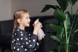 Cute caucasian little girl spraying Strelitzia houseplant from bottle, moisturising leaves during heating season at home. Greenery in modern apartment. Love and take care of plants, hobby time. Indoor