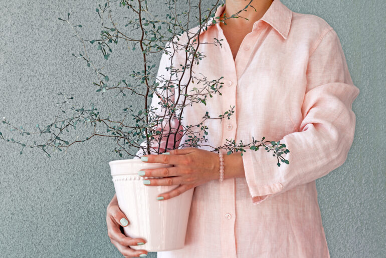 Woman holding a flowerpot with Corokia plant in her hands.